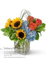 Holland Nurseries Florist & Flower Delivery image 1
